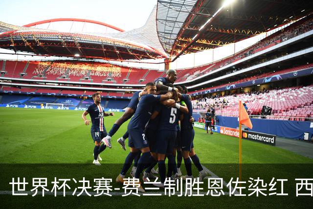 世界杯决赛-费兰制胜恩佐染红 西班牙加时1-0阿根廷夺冠