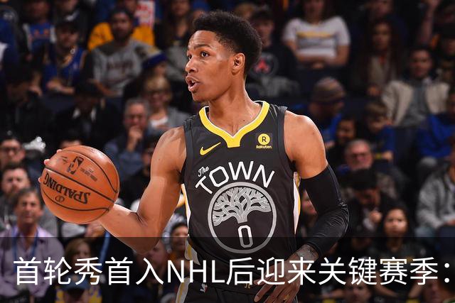 首轮秀首入NHL后迎来关键赛季：21岁后卫能否突破自己