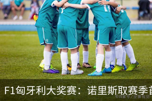 F1匈牙利大奖赛：诺里斯取赛季首胜